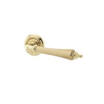 Polished Brass