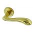 Polished Brass