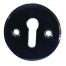 Polished Black Nickel