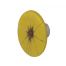 Yellow Flare