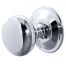 Polished Chrome