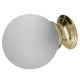 Polished Brass